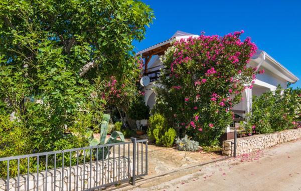 Apartment "Marija" - Otok Vir Ngoại thất bức ảnh