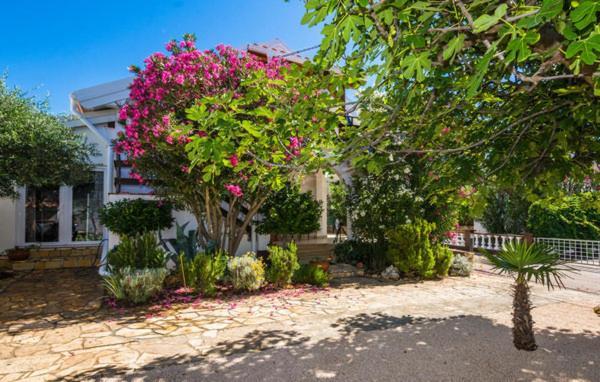 Apartment "Marija" - Otok Vir Ngoại thất bức ảnh