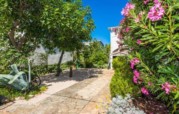 Apartment "Marija" - Otok Vir Ngoại thất bức ảnh